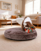 Puppy dog bed with 3 carrot chew toys