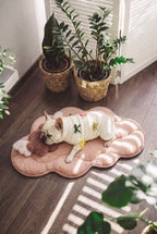 KSIIA Cloud Shaped Dog Bed | Ultra Soft Fluffy Pet Bed for Small Dogs & Cats, Machine Washable, Non-Slip Base