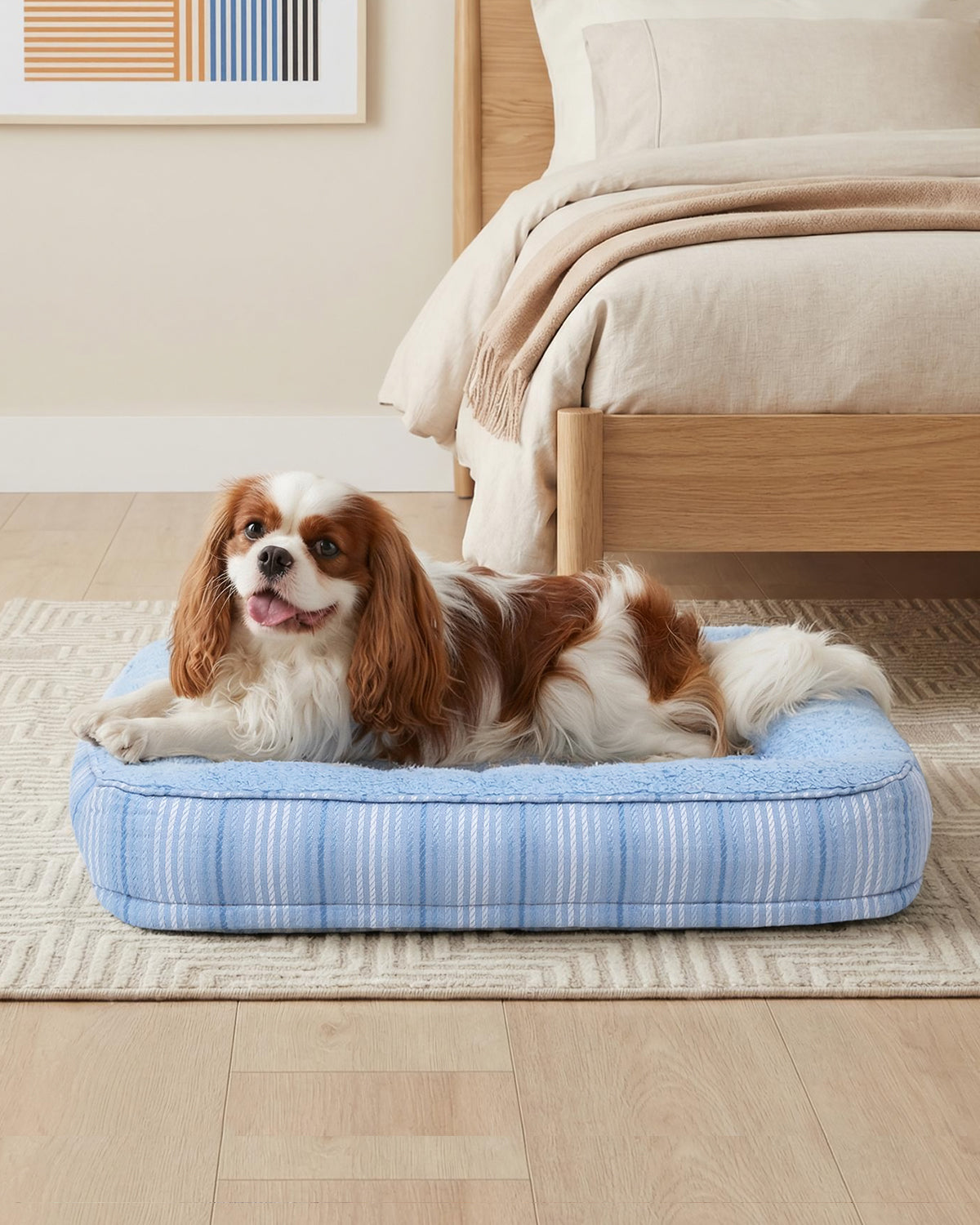 KSIIA Orthopedic Large Sized Dog Bed – Waterproof Washable Pet Sofa with Bolster Sides, Non-Slip Bottom (Multiple Sizes)