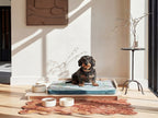 Dog Food Mats for Floors Absorbent, Pet Food Mats for Floor, Dog Food Mat Quick Dry Cat Food Mat