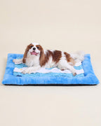 KSIIA 2-in-1 Snuffle Dog Bed – Washable Plush Crate Mat with Removable Foraging Top