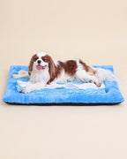 KSIIA 2-in-1 Snuffle Dog Bed – Washable Plush Crate Mat with Removable Foraging Top