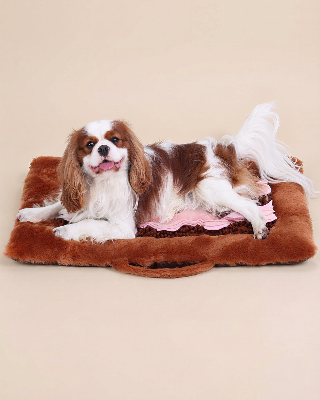 KSIIA 2-in-1 Snuffle Dog Bed – Washable Plush Crate Mat with Removable Foraging Top