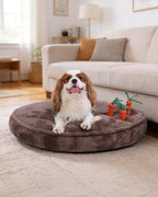 Puppy dog bed with 3 carrot chew toys