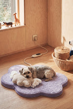 KSIIA Cloud-Shaped Heated Pet Bed | Electric Warming Bed for Small Dogs & Cats, Removable Washable Cover, Anti-Chew Cord