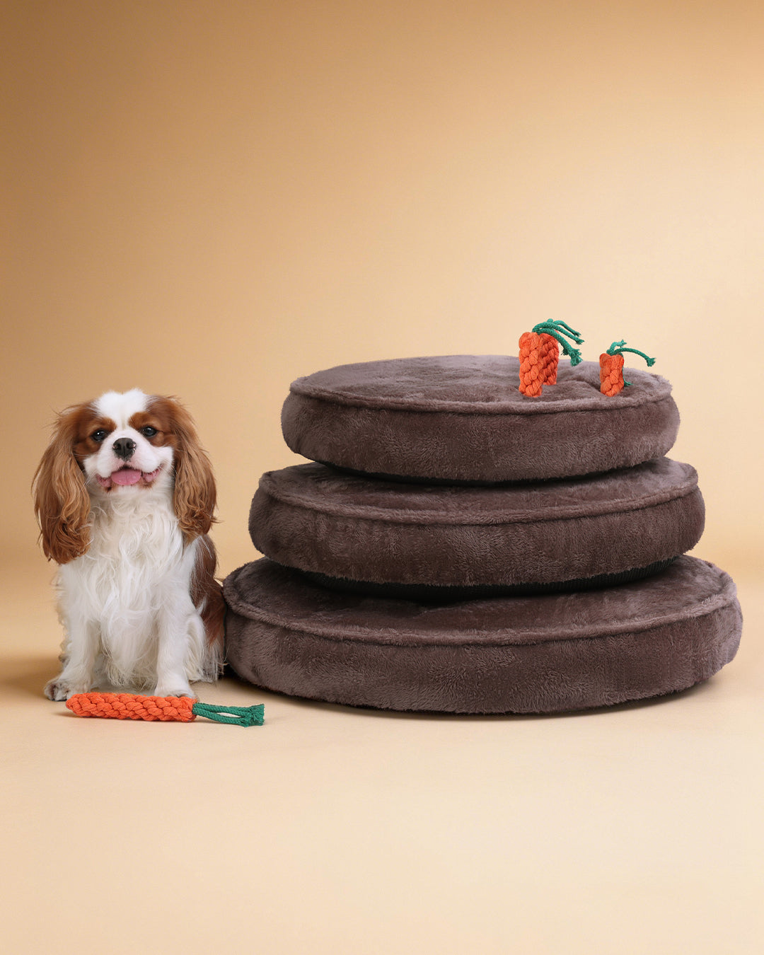 Puppy dog bed with 3 carrot chew toys