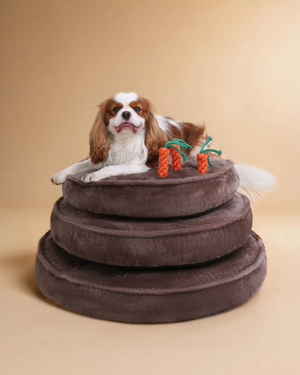 Puppy dog bed with 3 carrot chew toys