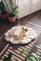 KSIIA Cloud Shaped Dog Bed | Ultra Soft Fluffy Pet Bed for Small Dogs & Cats, Machine Washable, Non-Slip Base