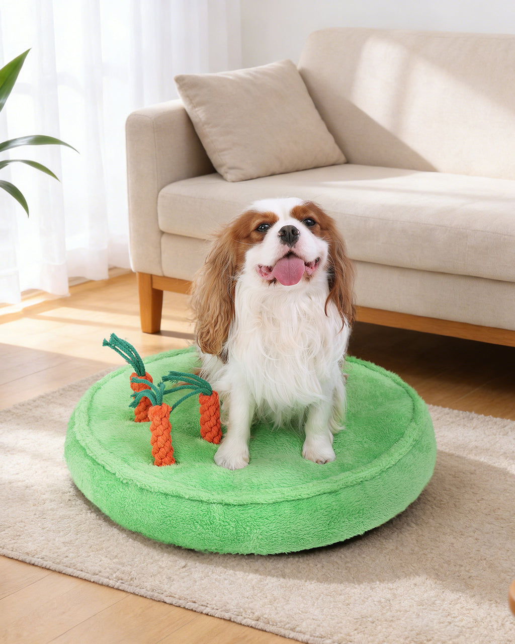 Puppy dog bed with 3 carrot chew toys