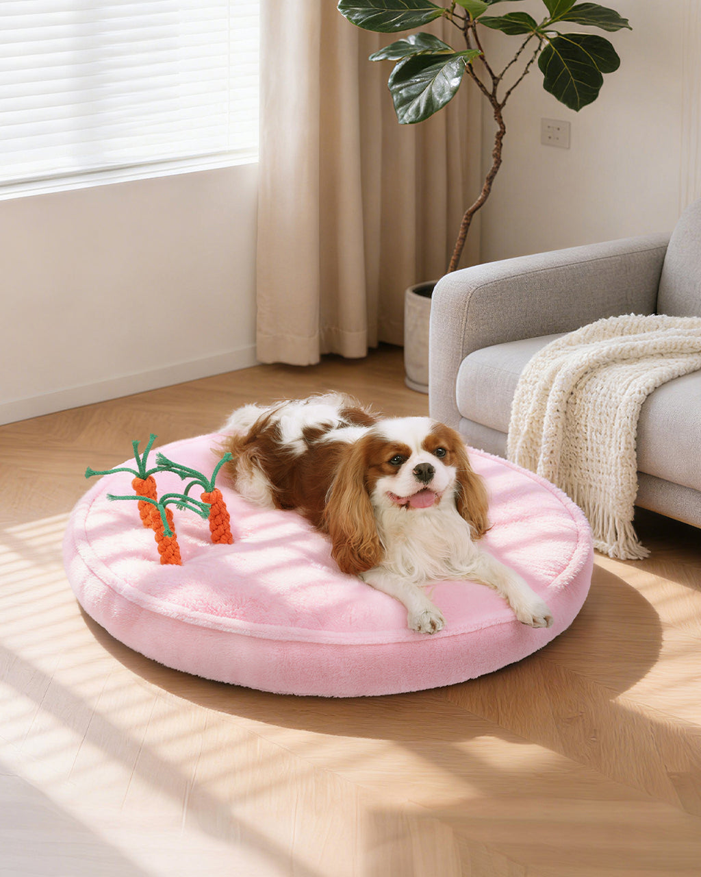 Puppy dog bed with 3 carrot chew toys