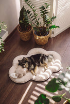 KSIIA Cloud Shaped Dog Bed | Ultra Soft Fluffy Pet Bed for Small Dogs & Cats, Machine Washable, Non-Slip Base