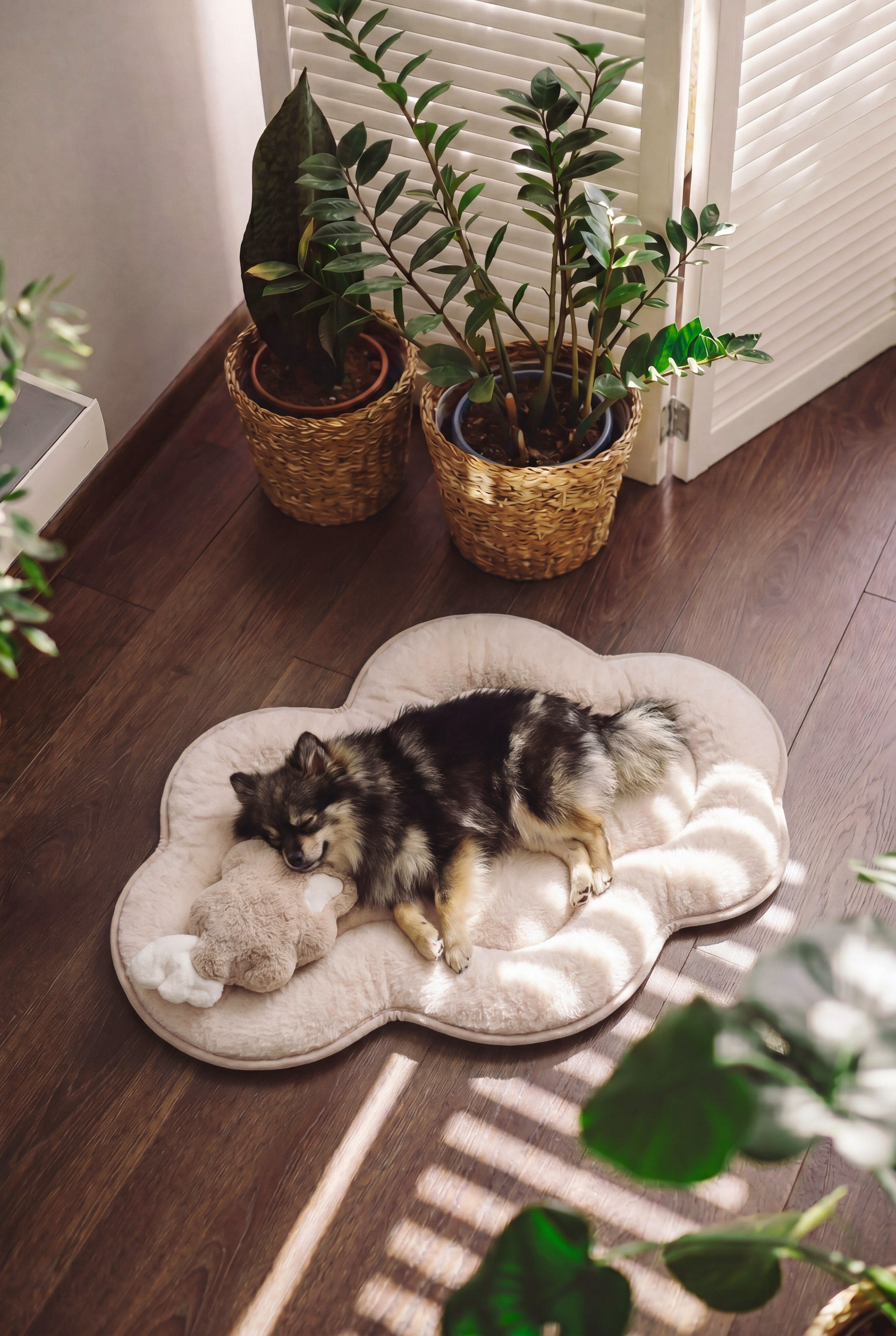 KSIIA Cloud Shaped Dog Bed | Ultra Soft Fluffy Pet Bed for Small Dogs & Cats, Machine Washable, Non-Slip Base