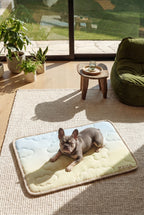 KSIIA Cooling Pet Mat | Ice Silk Summer Bed for Dogs & Cats, Non-Toxic, Breathable & Washable