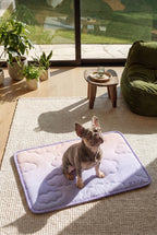 KSIIA Cooling Pet Mat | Ice Silk Summer Bed for Dogs & Cats, Non-Toxic, Breathable & Washable