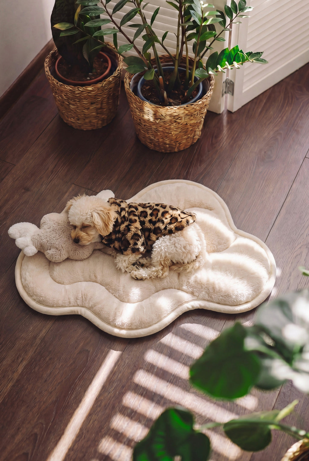 KSIIA Cloud Shaped Dog Bed | Ultra Soft Fluffy Pet Bed for Small Dogs & Cats, Machine Washable, Non-Slip Base